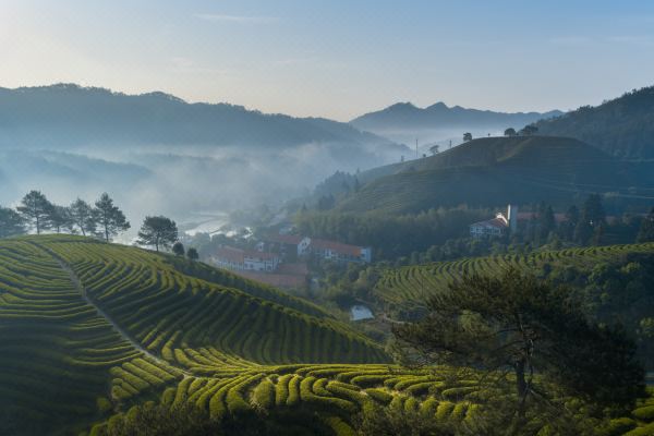 武夷山嘉葉山舍